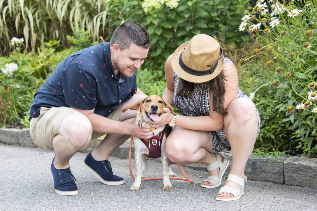 couple petting dog during engagement photos