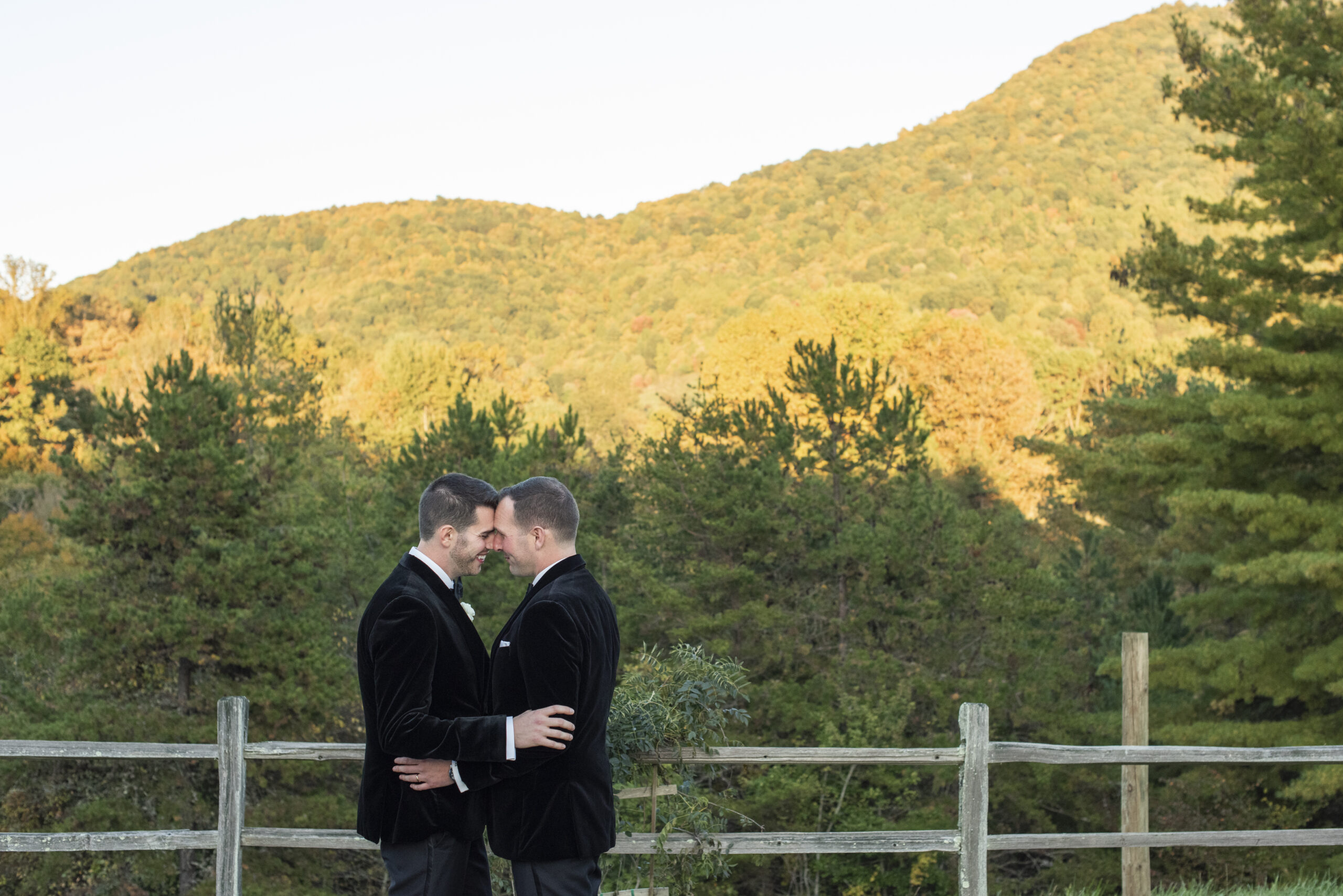 Couple snuggling at Chestnut Ridge Wedding Photography in Asheville, NC