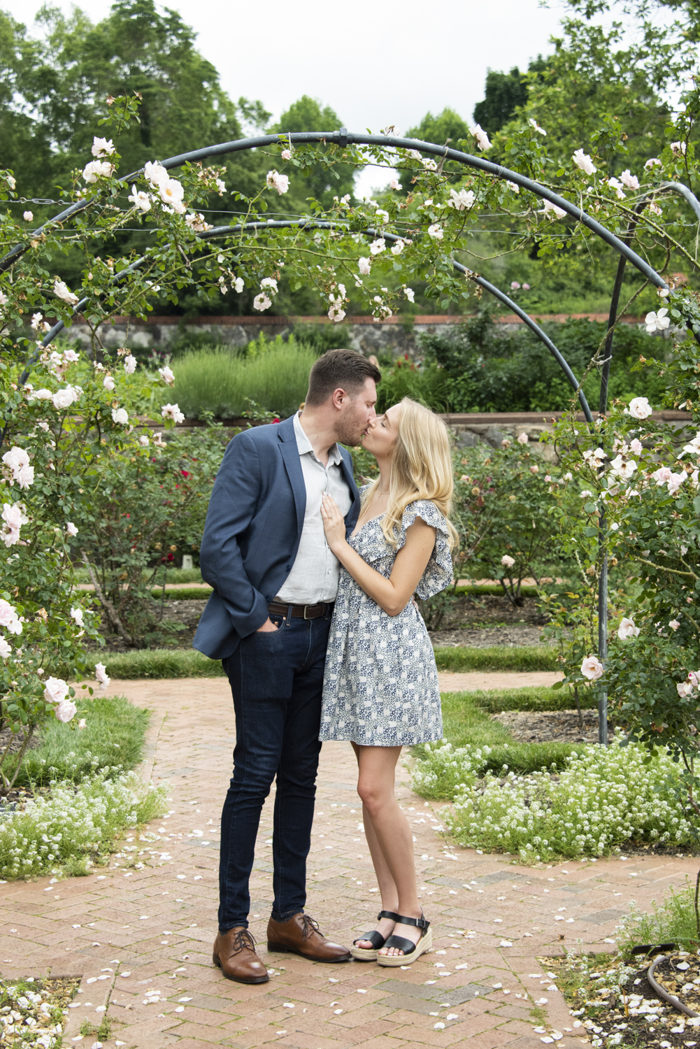 Engaged couple kissing in rose garden at Biltmore Estate Proposal Photography