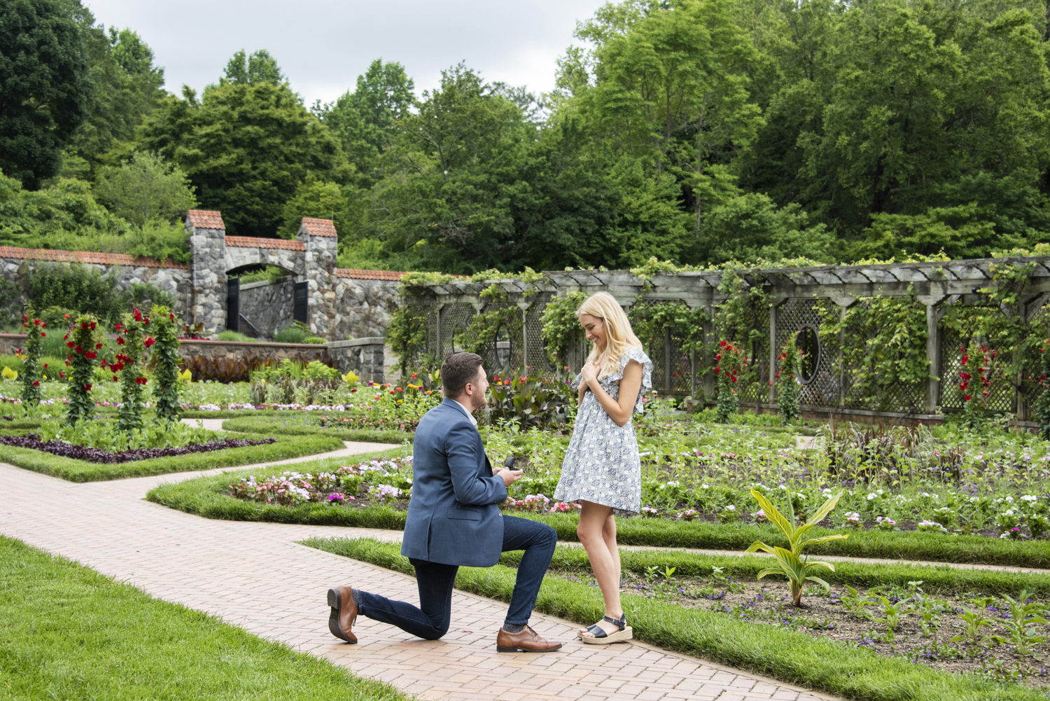 Man proposing to woman with Biltmore Estate Proposal Photography