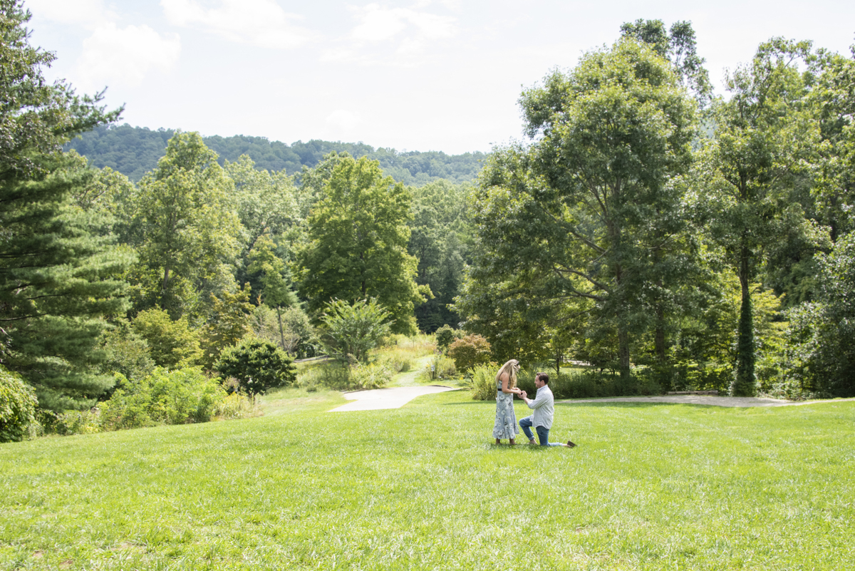 Proposal at The North Carolina Arboretum Engagement Photography