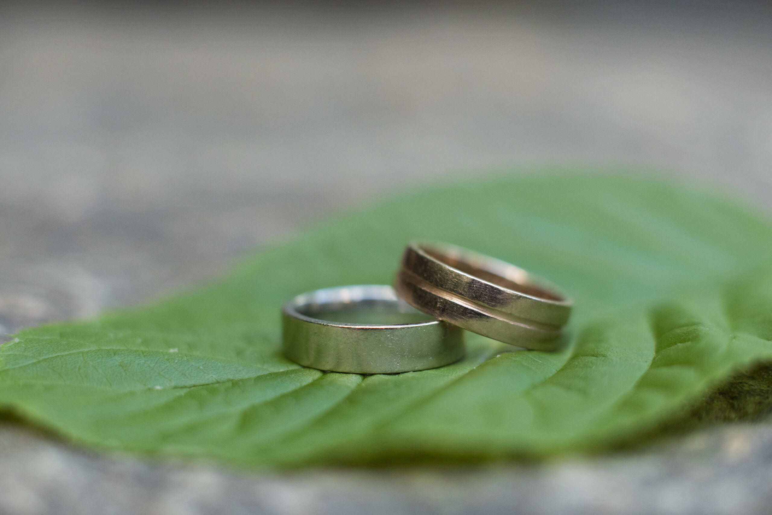 Two wedding rings on leaf