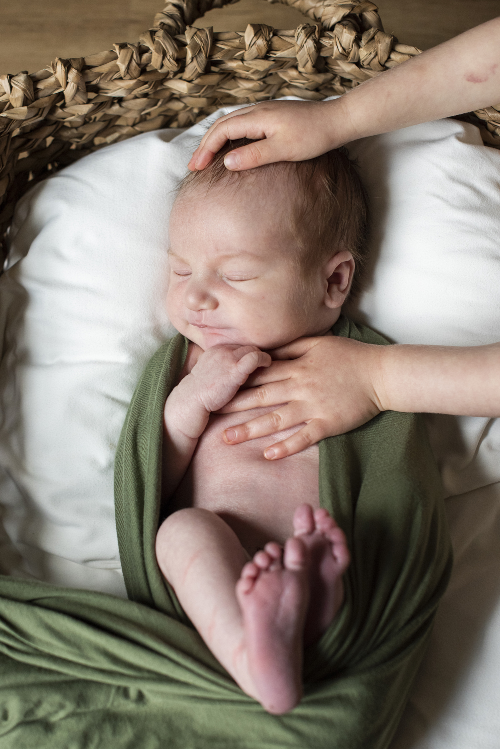 Baby in basket with big sister hands in Asheville, NC