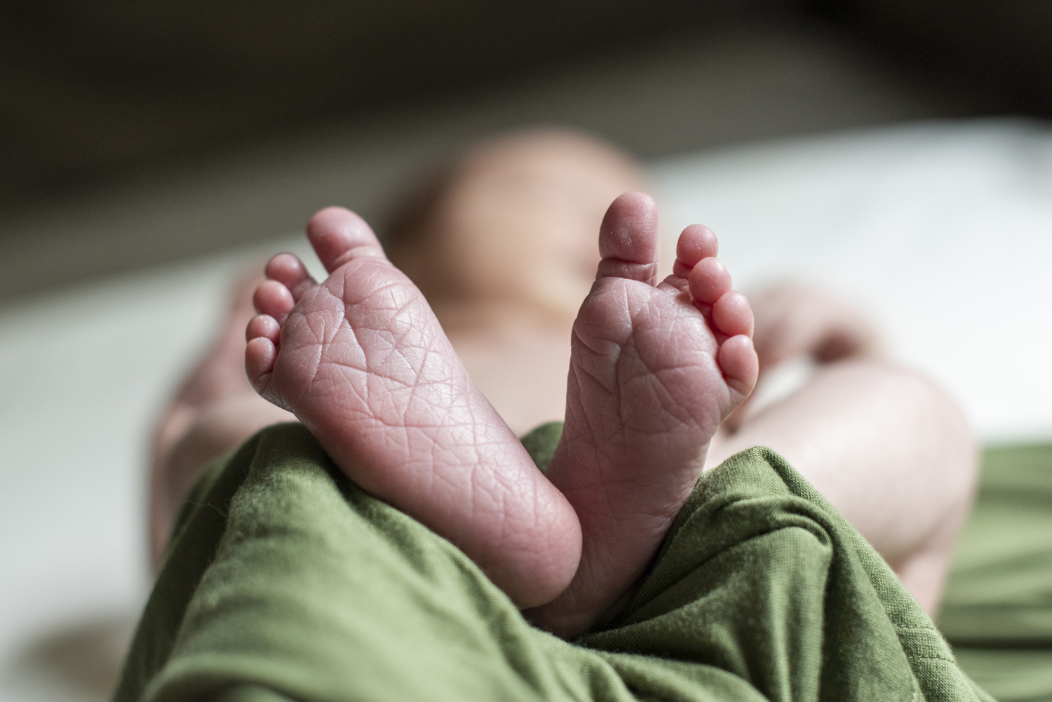 Newborn baby feet in Asheville, NC