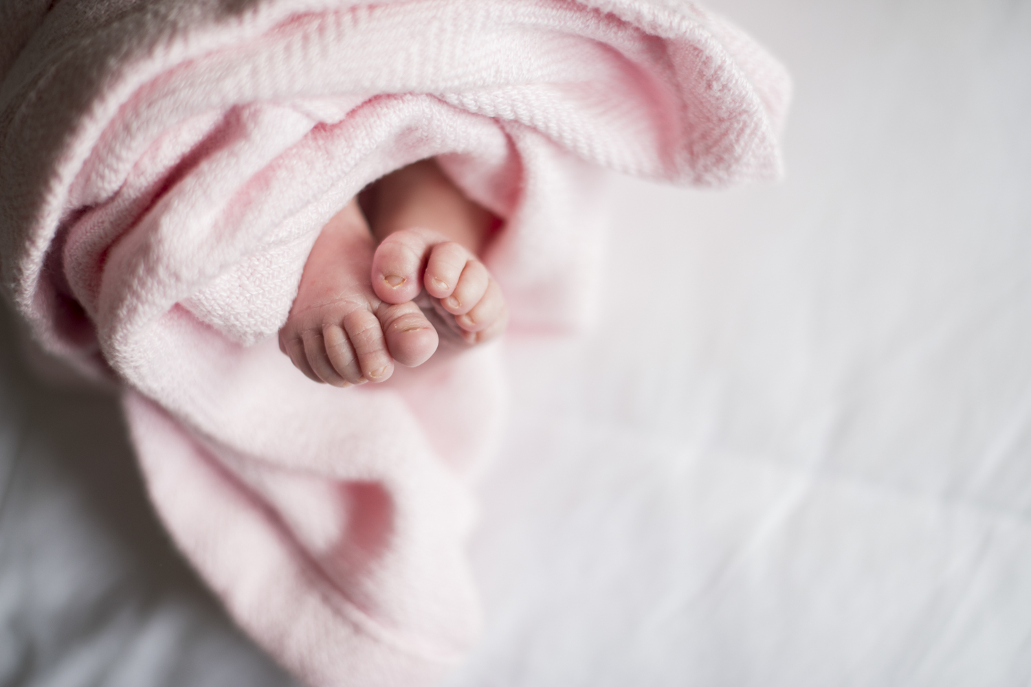 Baby girl tiny toes during Newborn Photography in Asheville