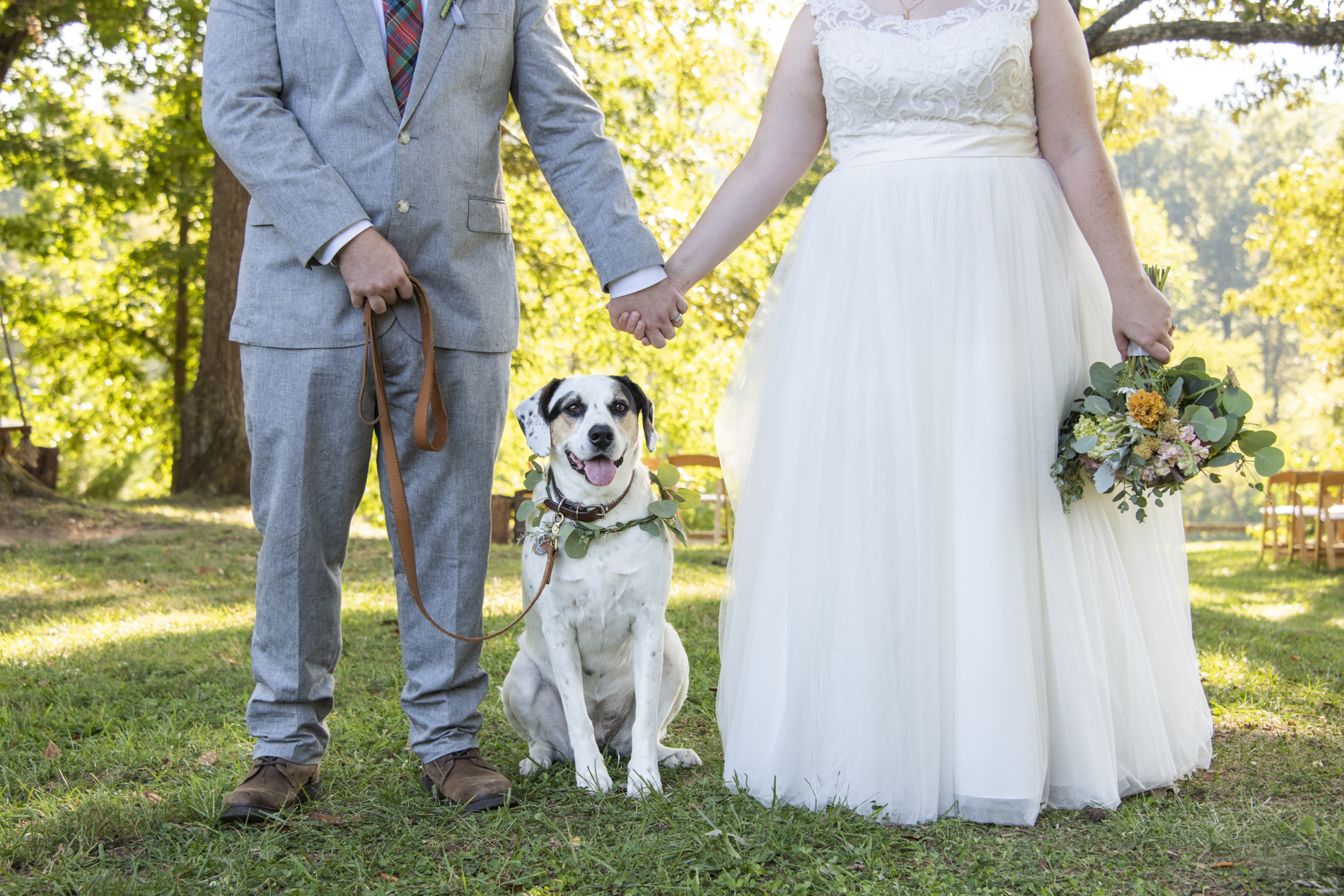 Couple holding hands showing dog at wedding at Yesterday Spaces Asheville