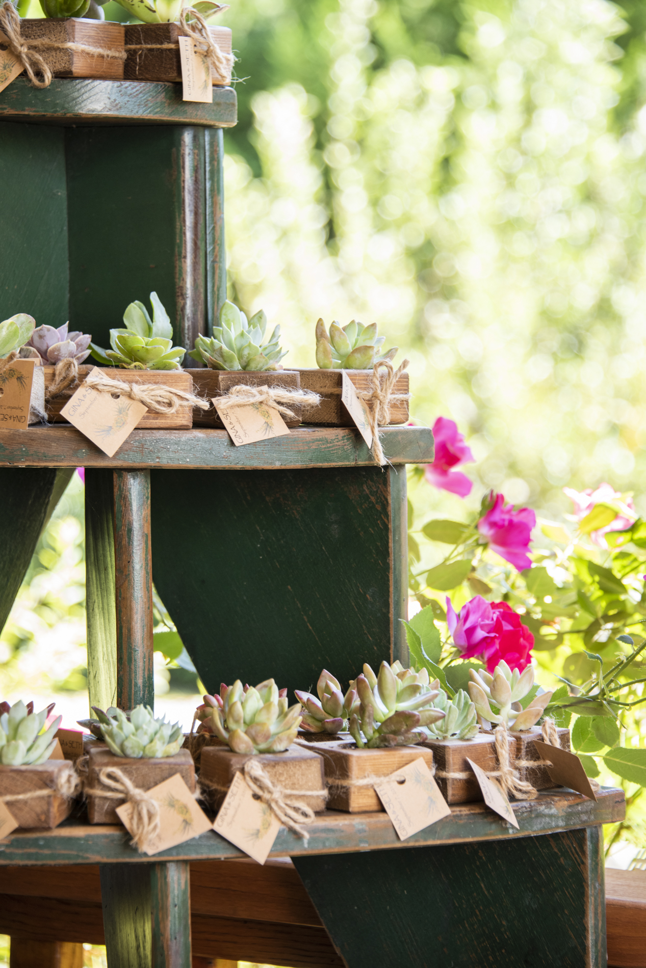 Succulent wedding favors tower