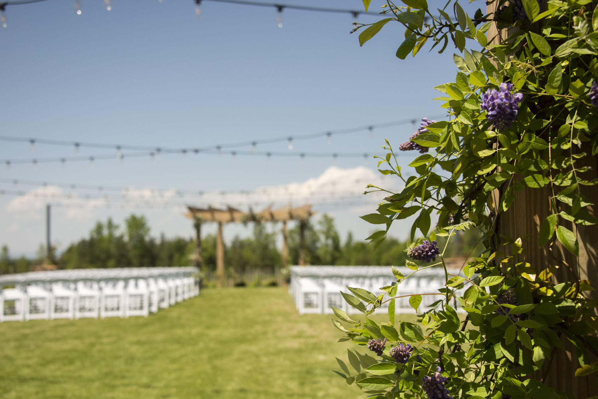 Ceremony site at Spinning Leaf Wedding