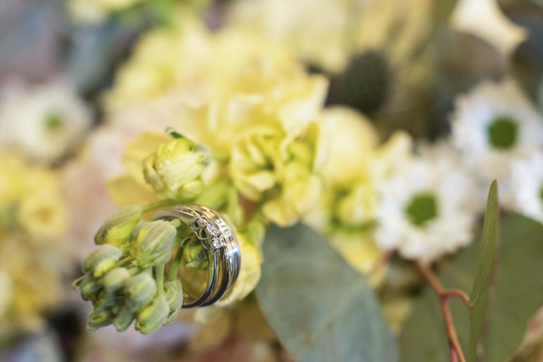 Wedding rings on bouquet