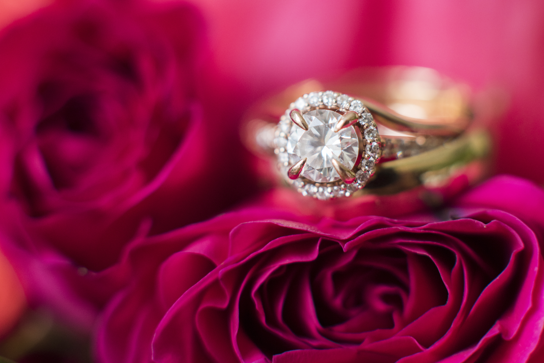 Engagement ring on pink roses