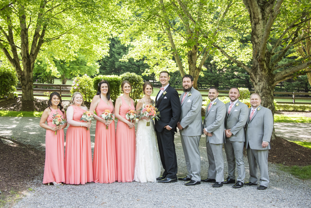 Wedding party at Hawkesdene Wedding