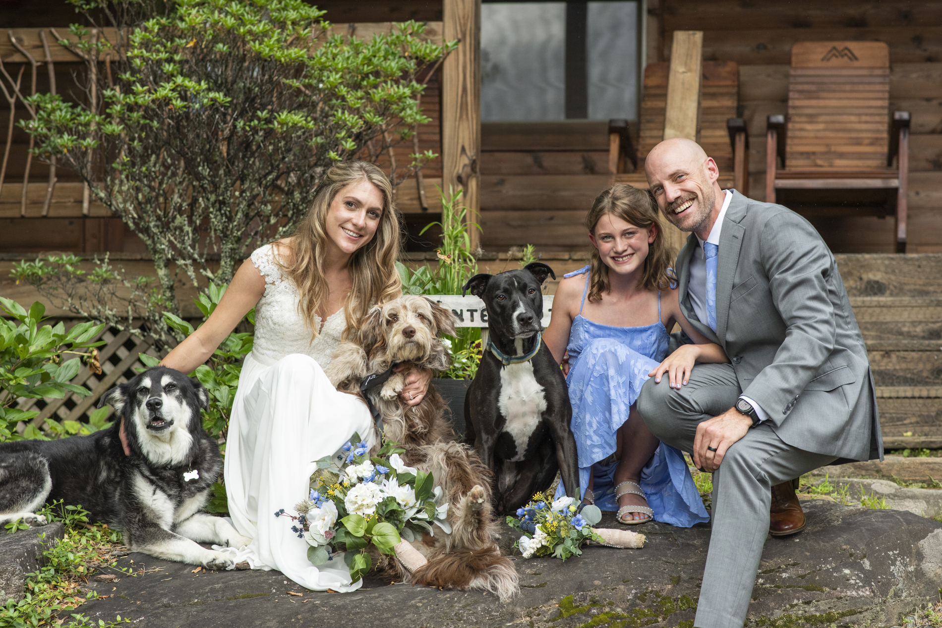 couple with dogs at wedding at Mount Mitchell Wedding