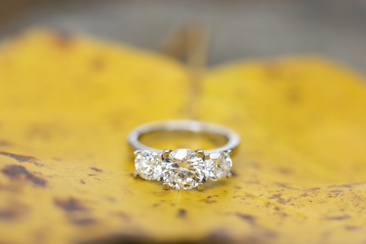 Engagement ring on leaf
