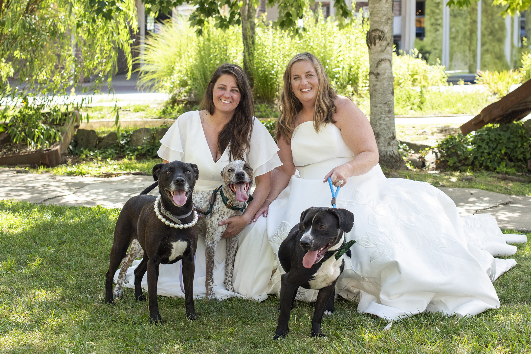 Couple with dogs at NuWray Hotel Wedding LGBTQ