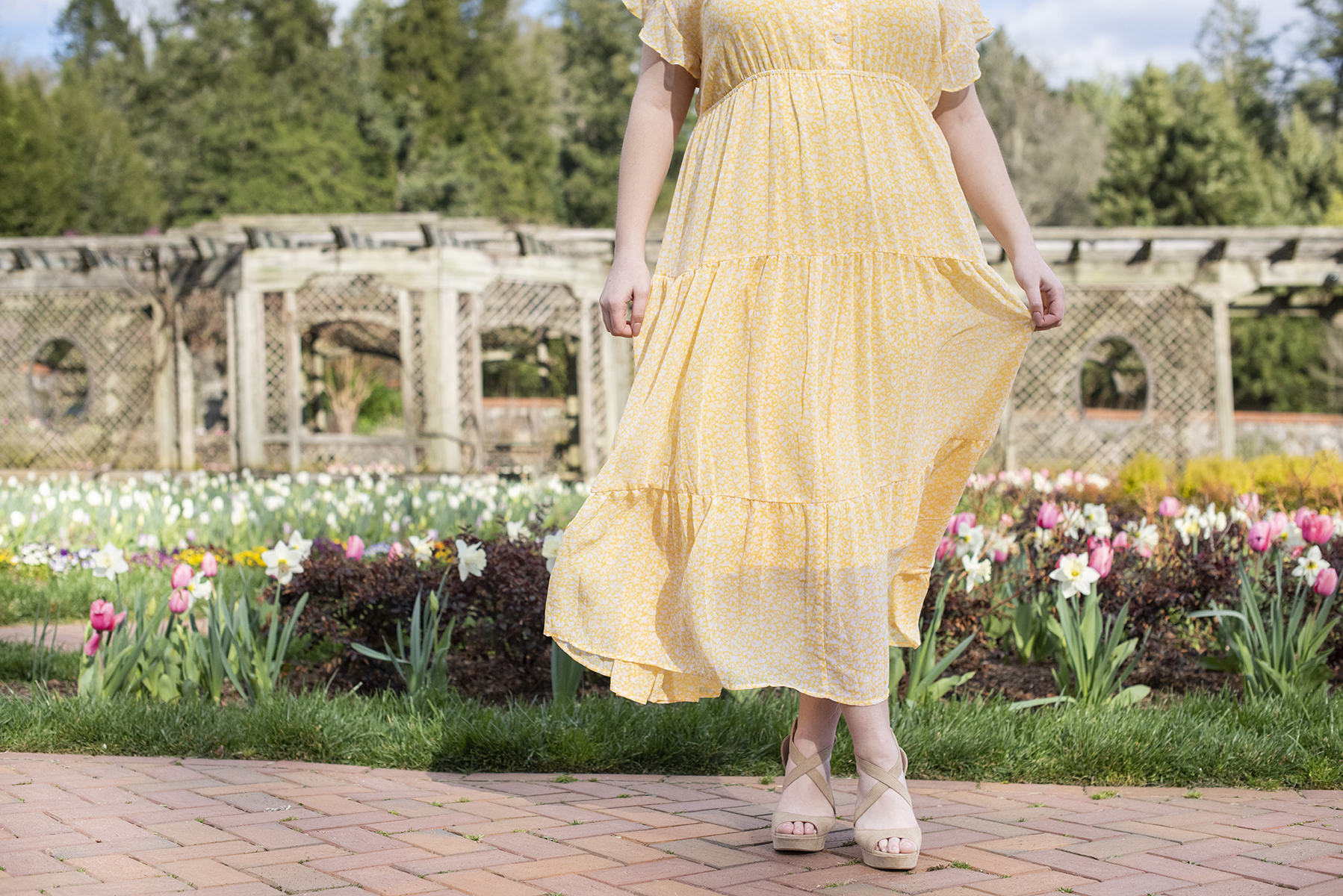 Senior photo at Biltmore Estate in flower garden